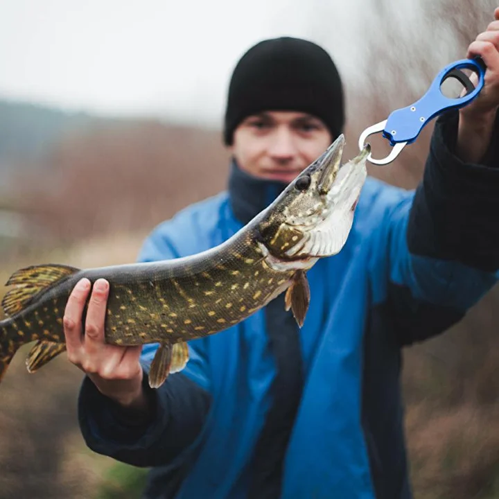 Риба з господарства