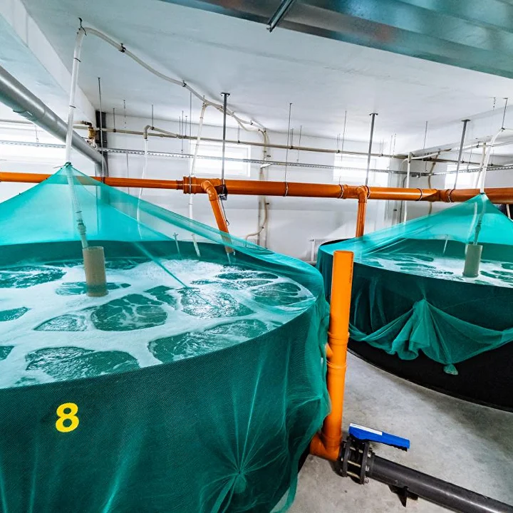 Басейни для вирощування риби