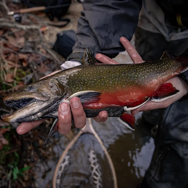 Фермер з рибою